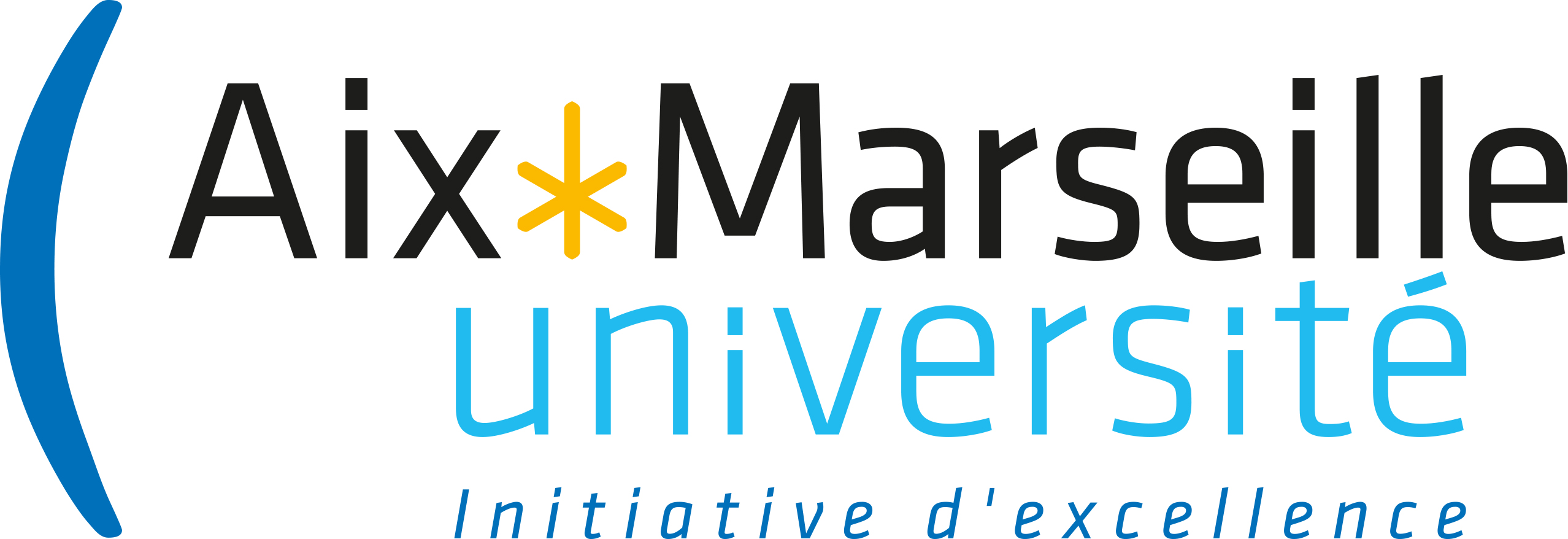Aix Marseille University