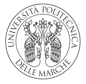 Università Politecnica delle Marche